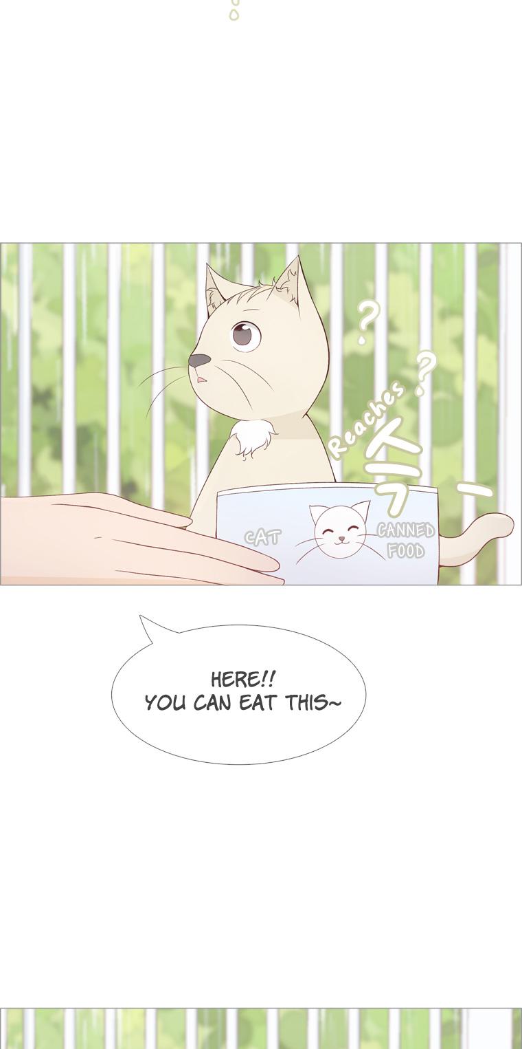 Dear Future You Chapter 9 page 27 - Chapter 9