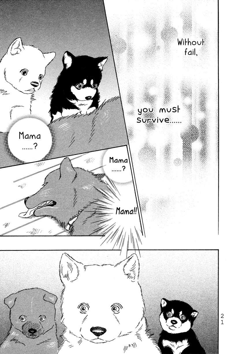 Deep Love - Pao no Monogatari Chapter 1 page 22 - Chapter 1: Mother and Child
