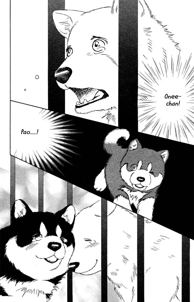 Deep Love - Pao no Monogatari Chapter 5 page 12 - Chapter 5: Heartbeat