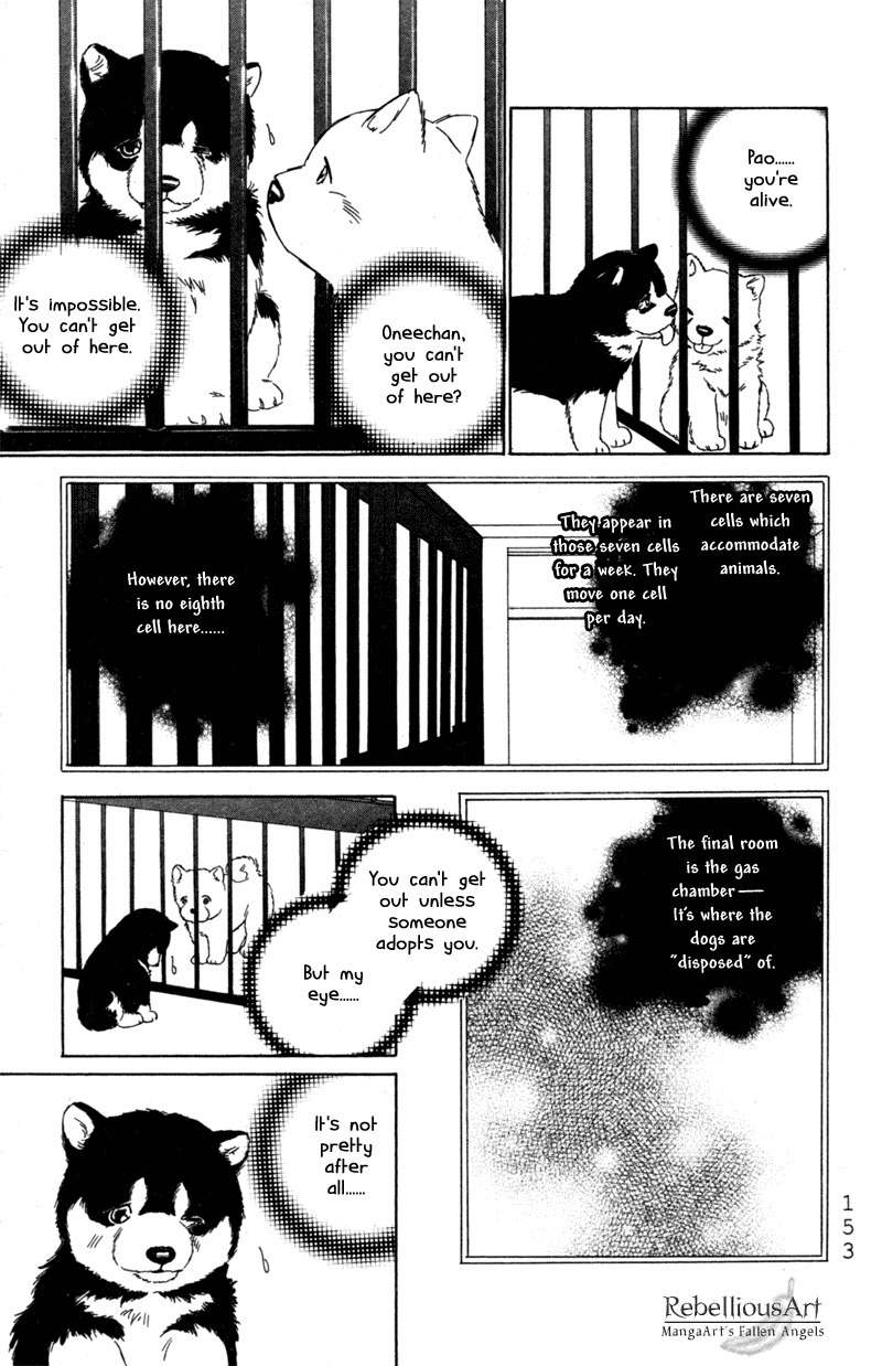 Deep Love - Pao no Monogatari Chapter 5 page 13 - Chapter 5: Heartbeat