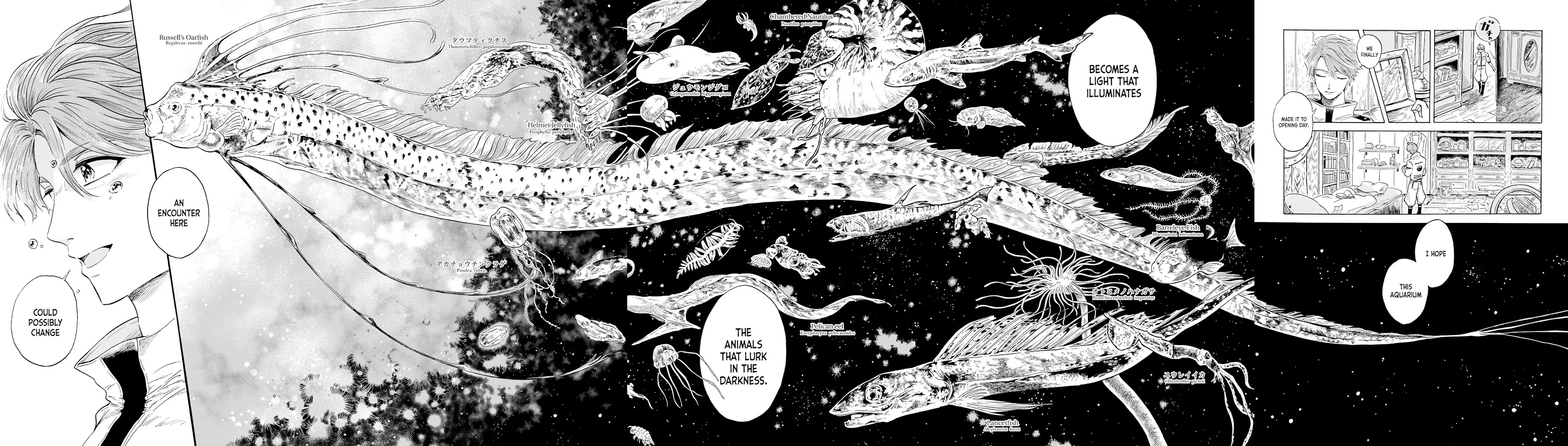 Deep Sea Aquarium Magmell Chapter 0 page 12 - Chapter 0: Giant Squid