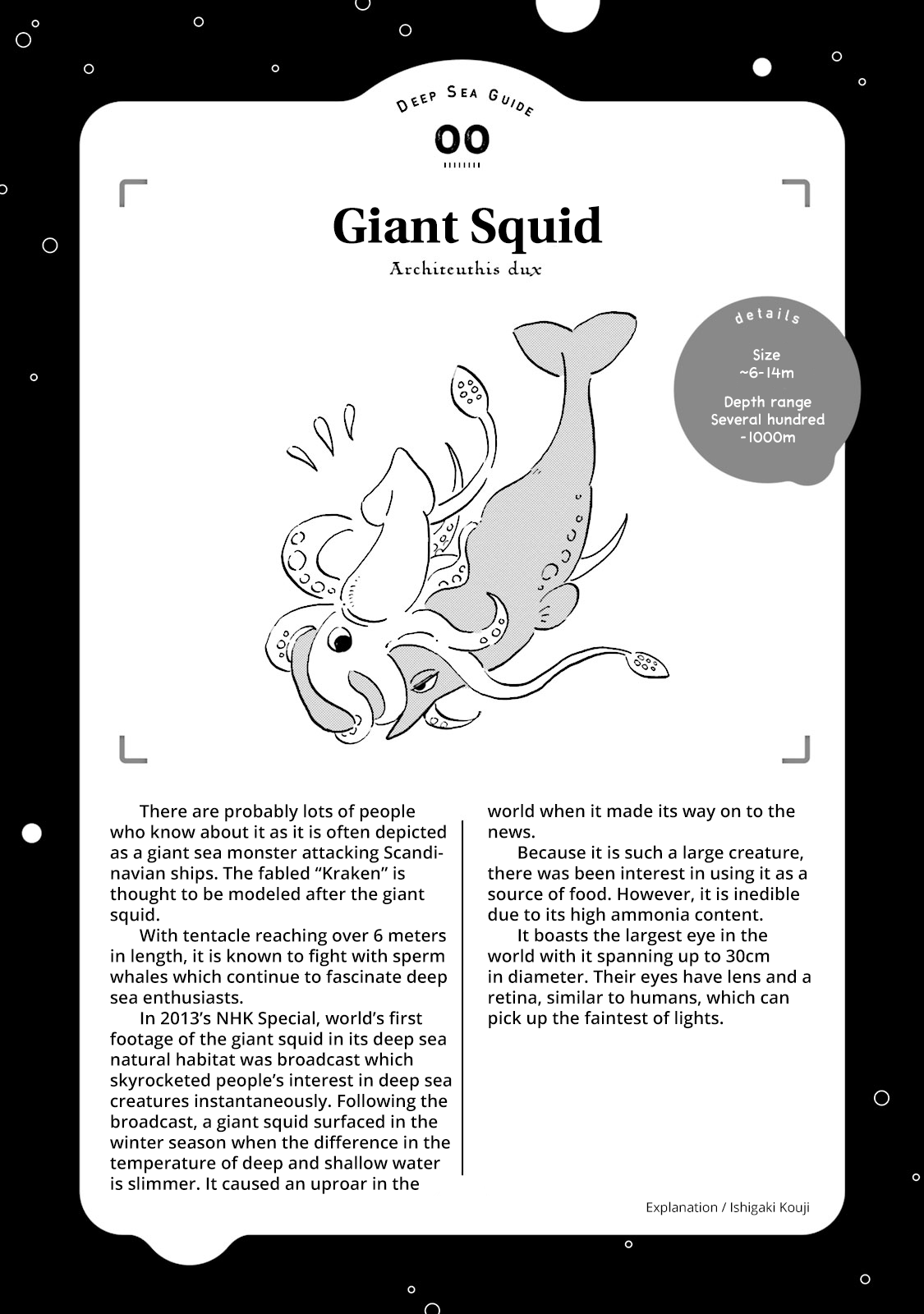 Deep Sea Aquarium Magmell Chapter 0 page 14 - Chapter 0: Giant Squid
