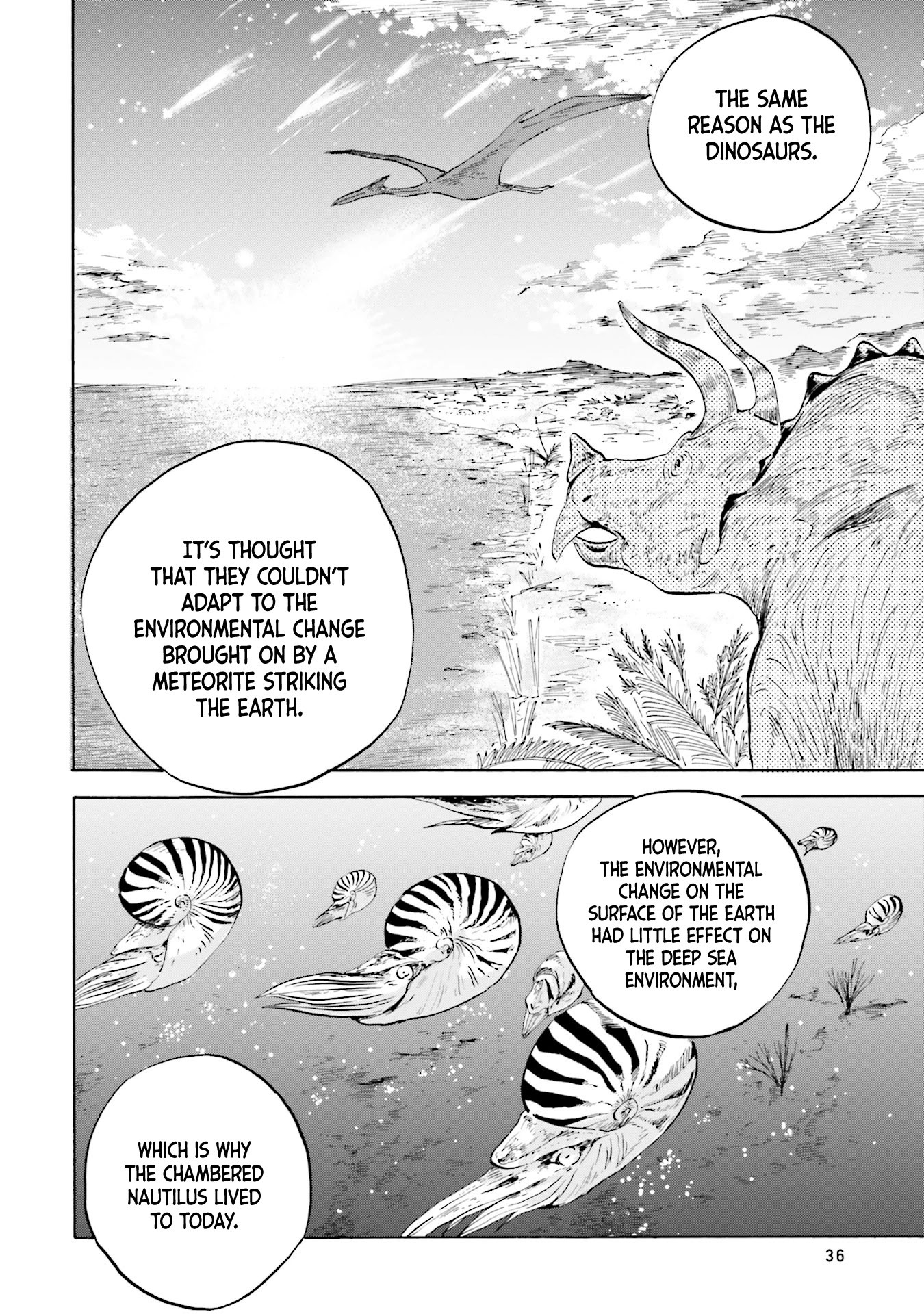 Deep Sea Aquarium Magmell Chapter 10 page 26 - Chapter 10: Nautilus