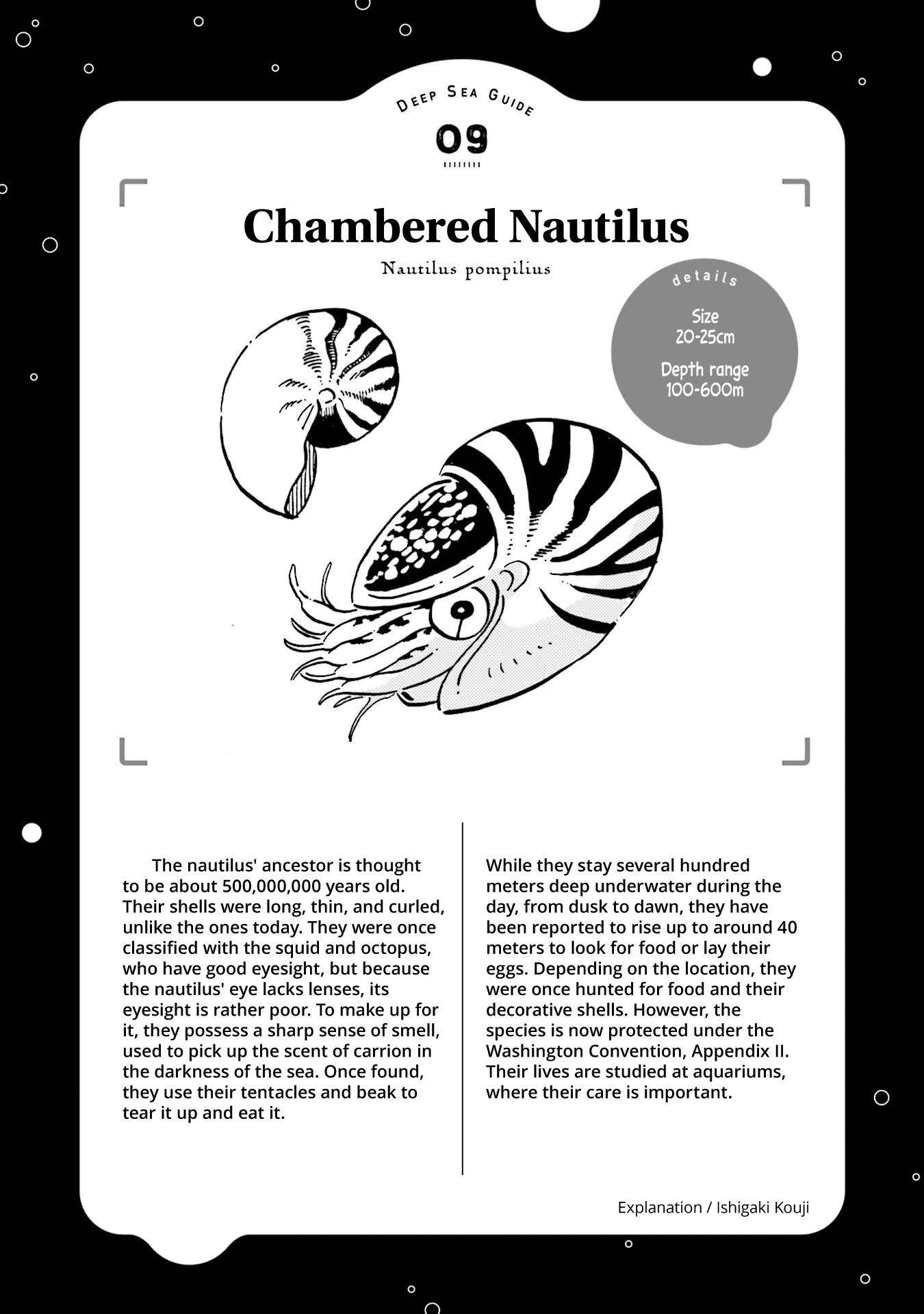 Deep Sea Aquarium Magmell Chapter 10 page 34 - Chapter 10: Nautilus