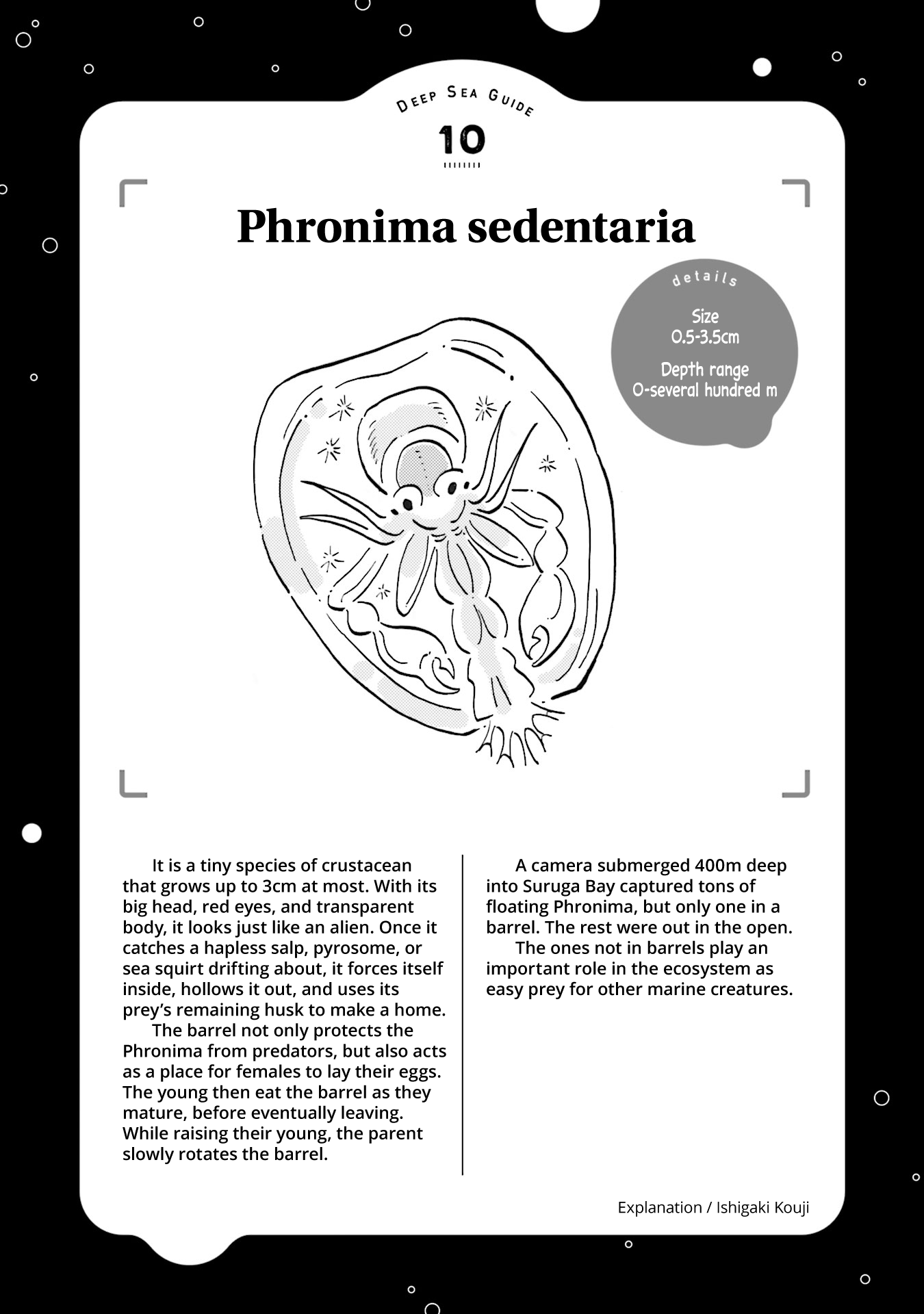 Deep Sea Aquarium Magmell Chapter 11 page 37 - Chapter 11: Phronima sedentaria