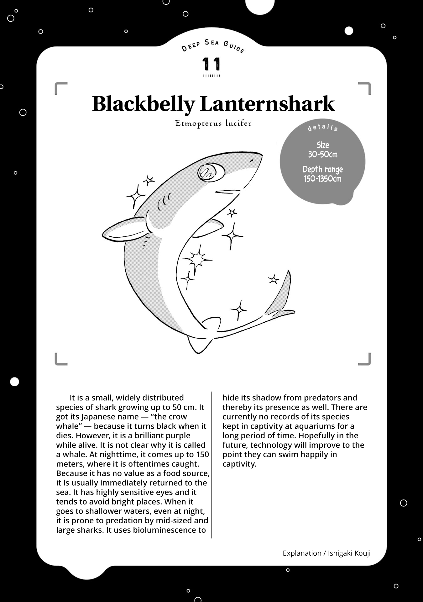 Deep Sea Aquarium Magmell Chapter 12 page 30 - Chapter 12: Blackbelly Lanternshark