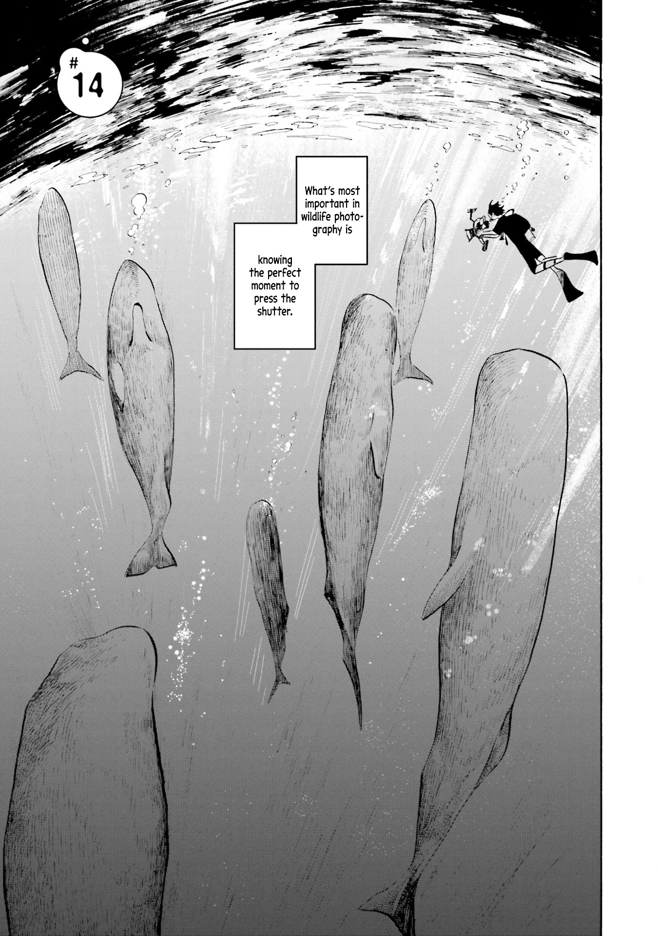 Deep Sea Aquarium Magmell Chapter 14 page 1 - Chapter 14: Helmet Jellyfish, Part 2
