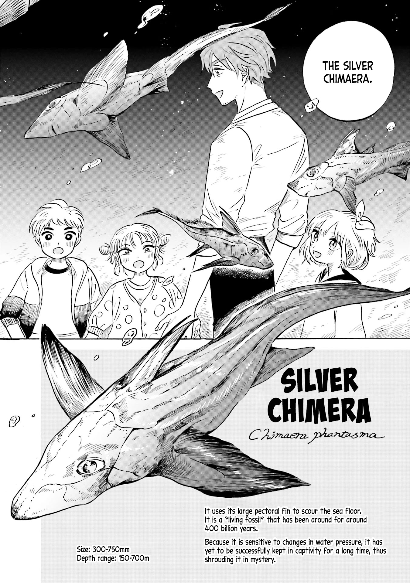 Deep Sea Aquarium Magmell Chapter 15 page 23 - Chapter 15: Silver Chimaera