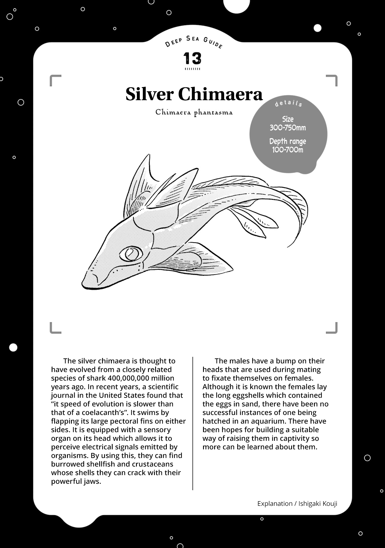 Deep Sea Aquarium Magmell Chapter 15 page 32 - Chapter 15: Silver Chimaera