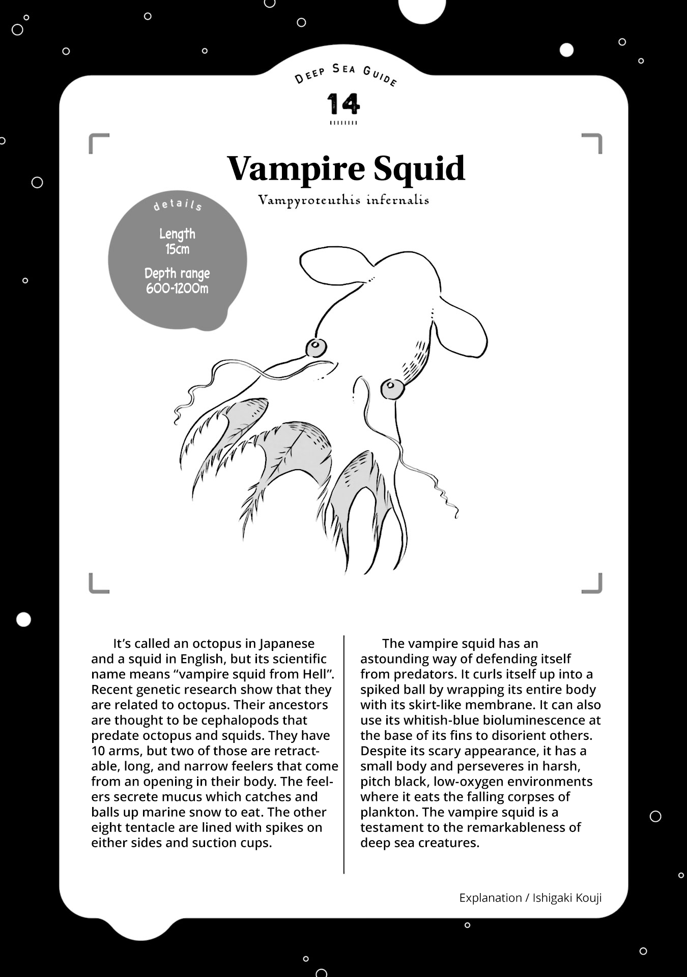 Deep Sea Aquarium Magmell Chapter 16 page 30 - Chapter 16: Vampire Squid