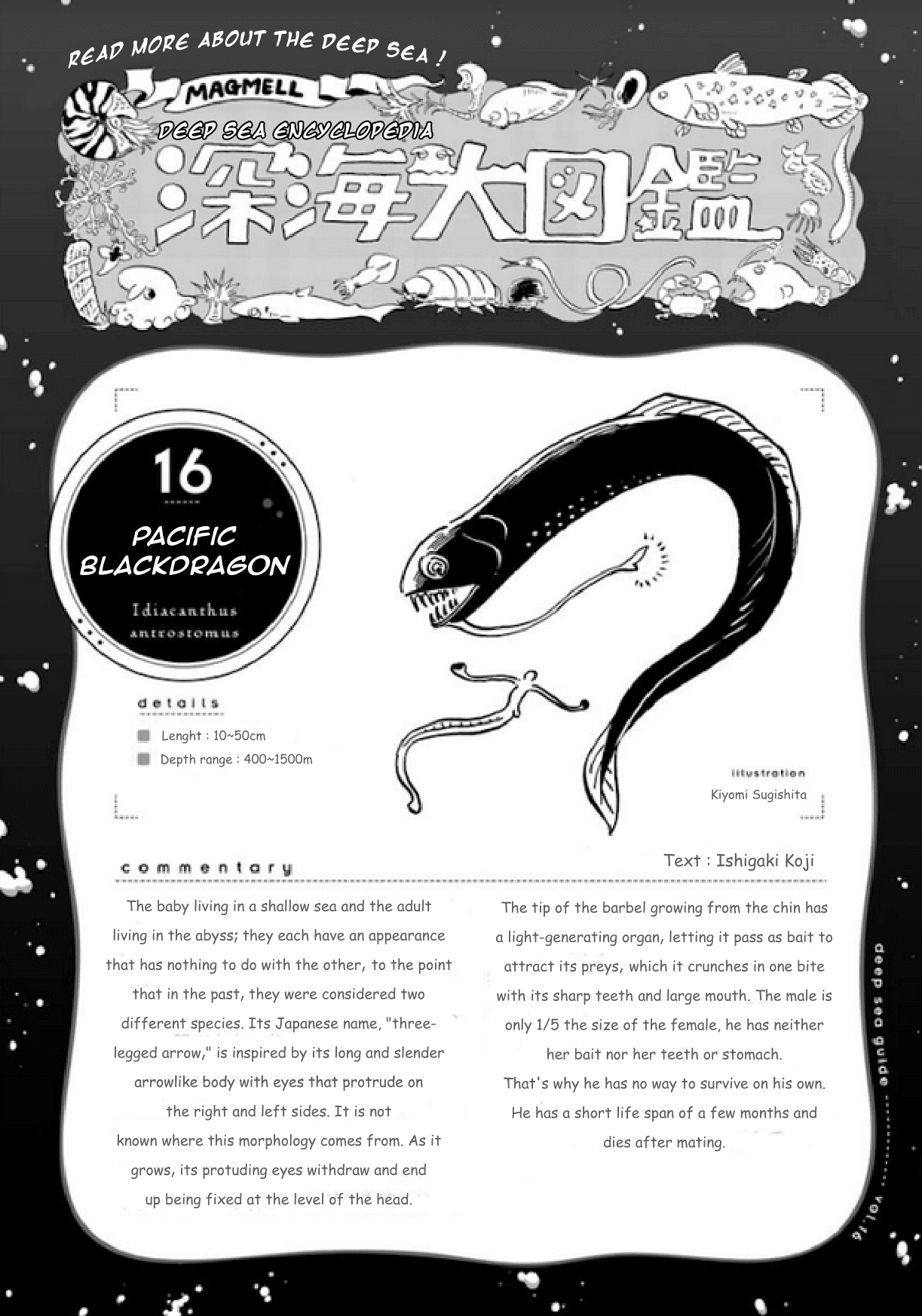 Deep Sea Aquarium Magmell Chapter 18 page 14 - Chapter 18: Pacific Blackdragon