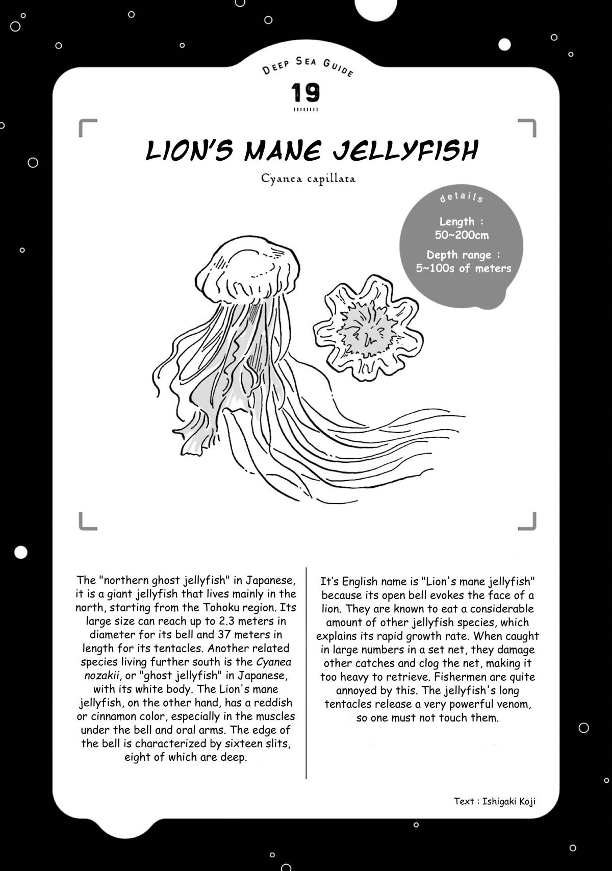 Deep Sea Aquarium Magmell Chapter 22 page 36 - Chapter 22: Lion's Mane Jellyfish