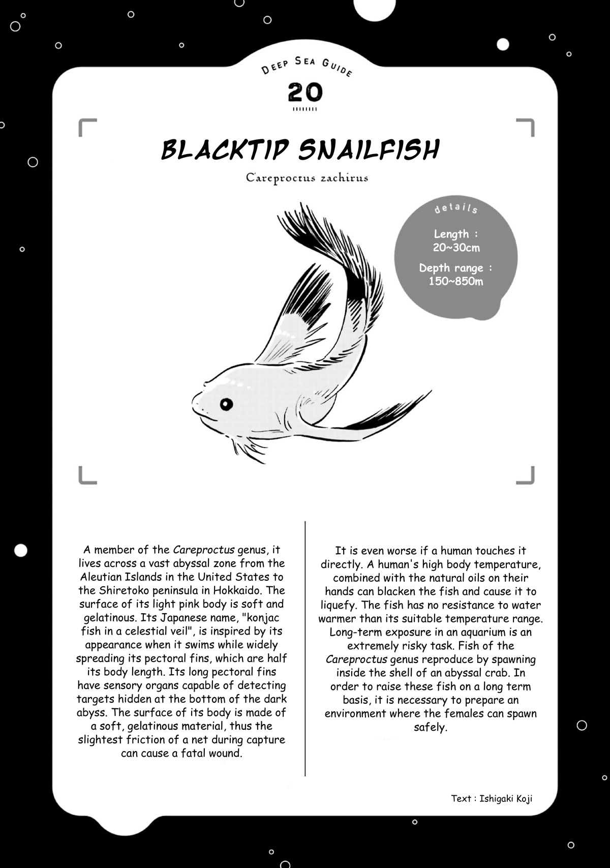 Deep Sea Aquarium Magmell Chapter 23 page 35 - Chapter 23: Blacktip Snailfish