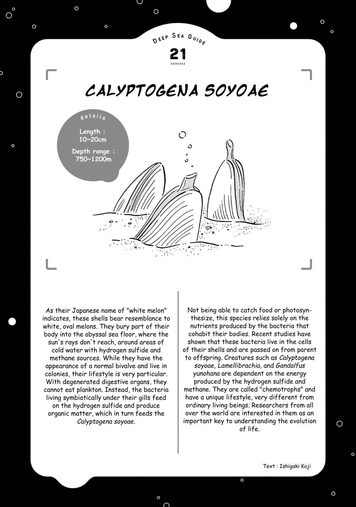 Deep Sea Aquarium Magmell Chapter 25 page 39 - Chapter 25: Calyptogena, Part 2