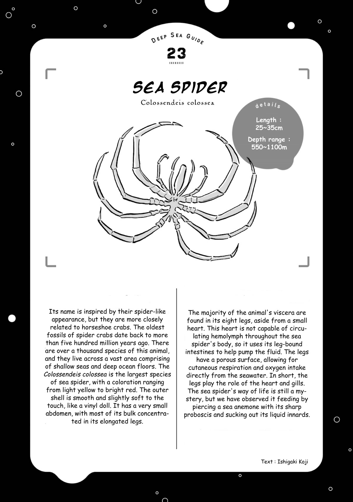 Deep Sea Aquarium Magmell Chapter 27 page 35 - Chapter 27: Sea Spider