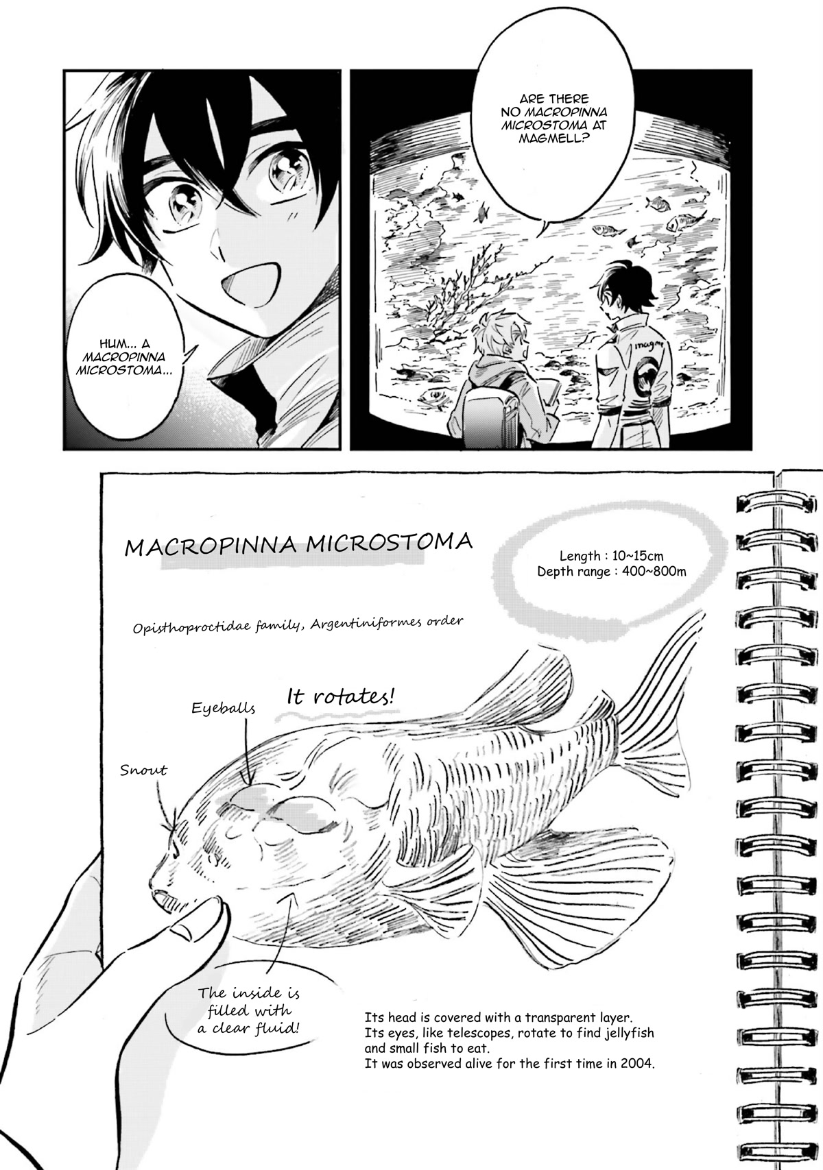 Deep Sea Aquarium Magmell Chapter 28 page 14 - Chapter 28: Macropinna