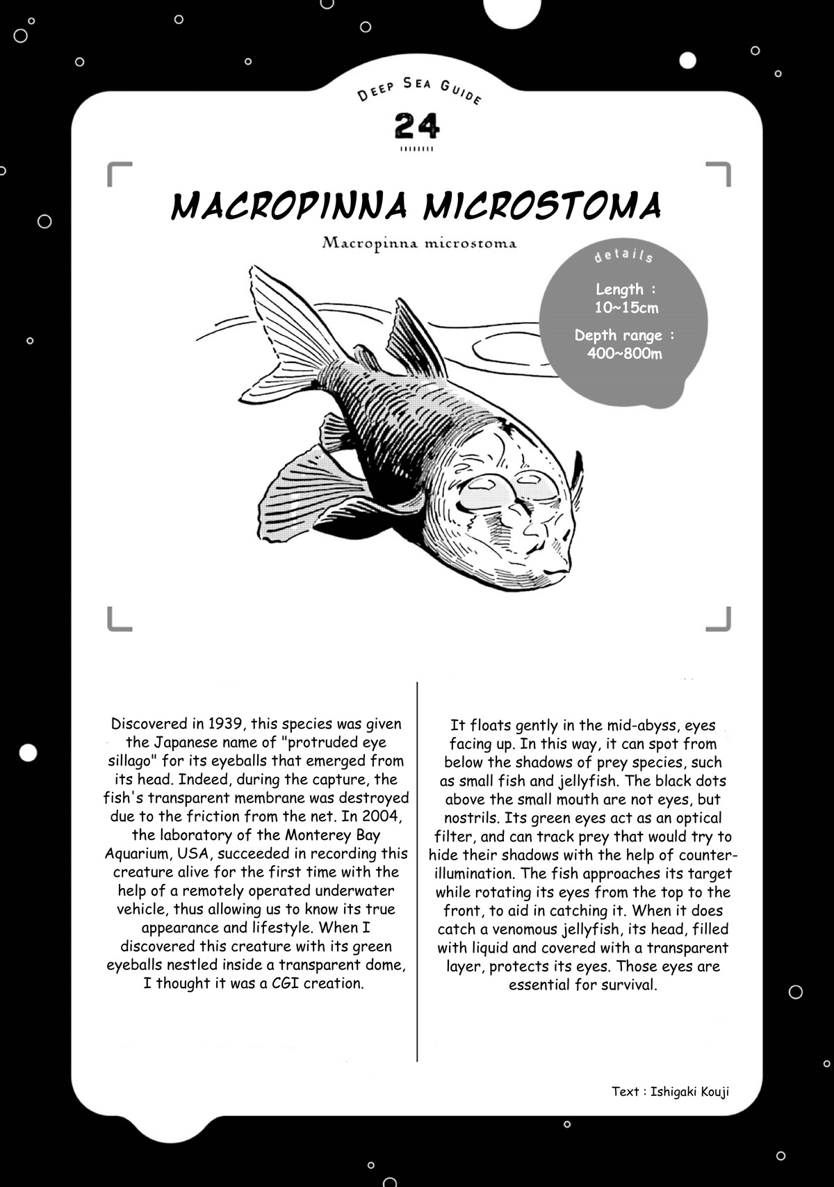 Deep Sea Aquarium Magmell Chapter 28 page 37 - Chapter 28: Macropinna