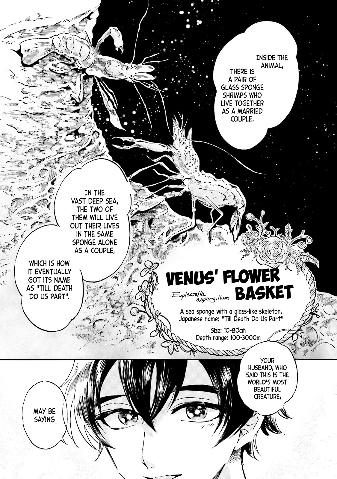 Deep Sea Aquarium Magmell Chapter 3 page 16 - Chapter 3: Venus' Flower Basket