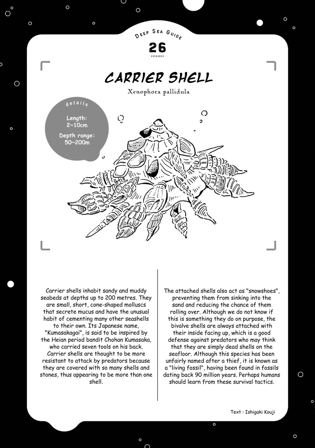 Deep Sea Aquarium Magmell Chapter 31 page 31 - Chapter 31: Carrier Shell
