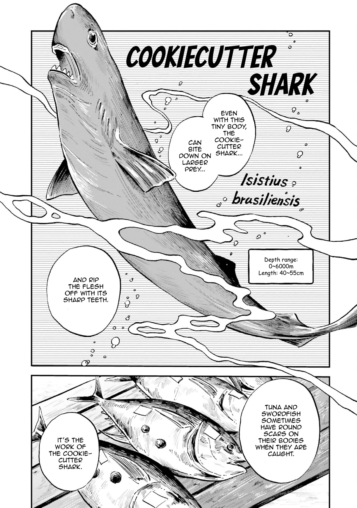 Deep Sea Aquarium Magmell Chapter 32 page 7 - Chapter 32: Cookiecutter Shark, Part 1