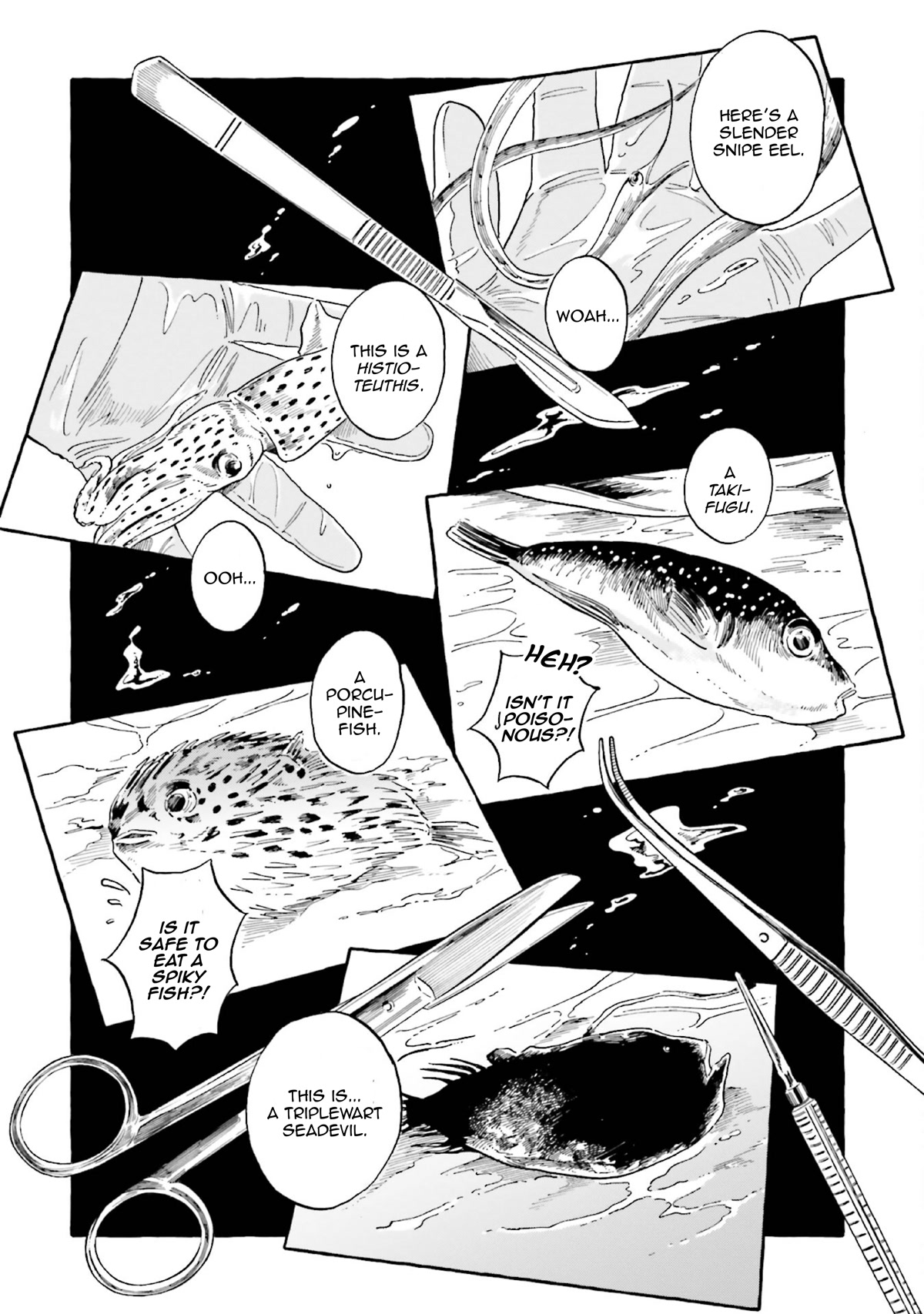 Deep Sea Aquarium Magmell Chapter 35 page 9 - Chapter 35: Longnose Lancetfish, Part 2