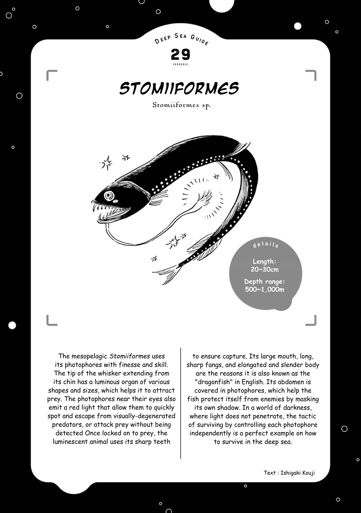 Deep Sea Aquarium Magmell Chapter 36 page 18 - Chapter 36: Stomiiformes