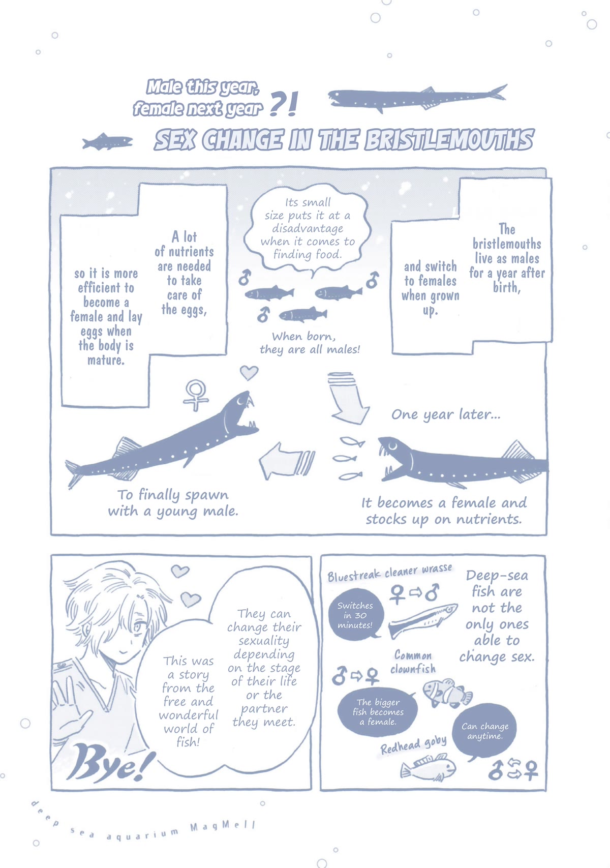Deep Sea Aquarium Magmell Chapter 37.5 page 2 - Chapter 37.5: Vol. 7 Bonus