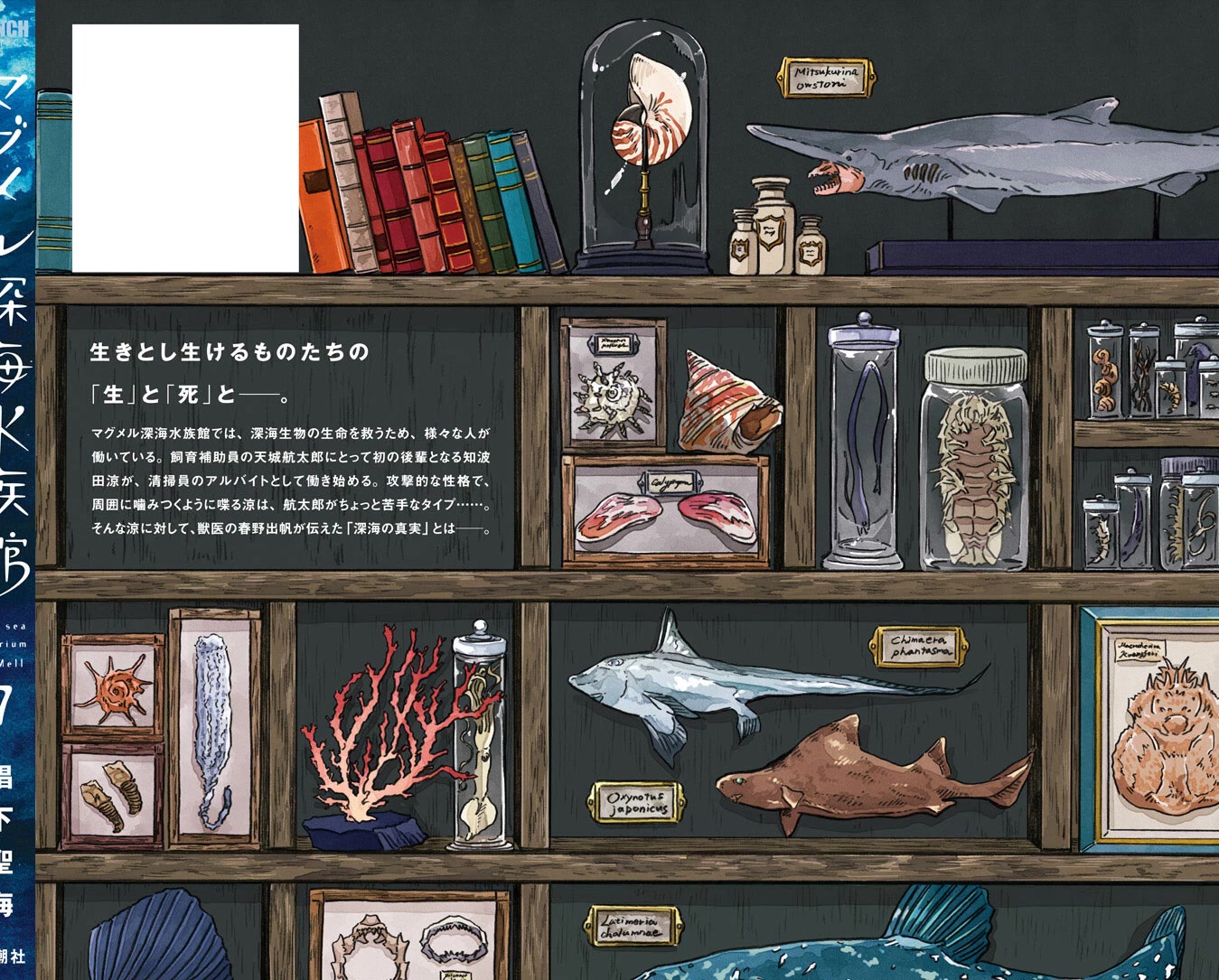 Deep Sea Aquarium Magmell Chapter 37.5 page 4 - Chapter 37.5: Vol. 7 Bonus