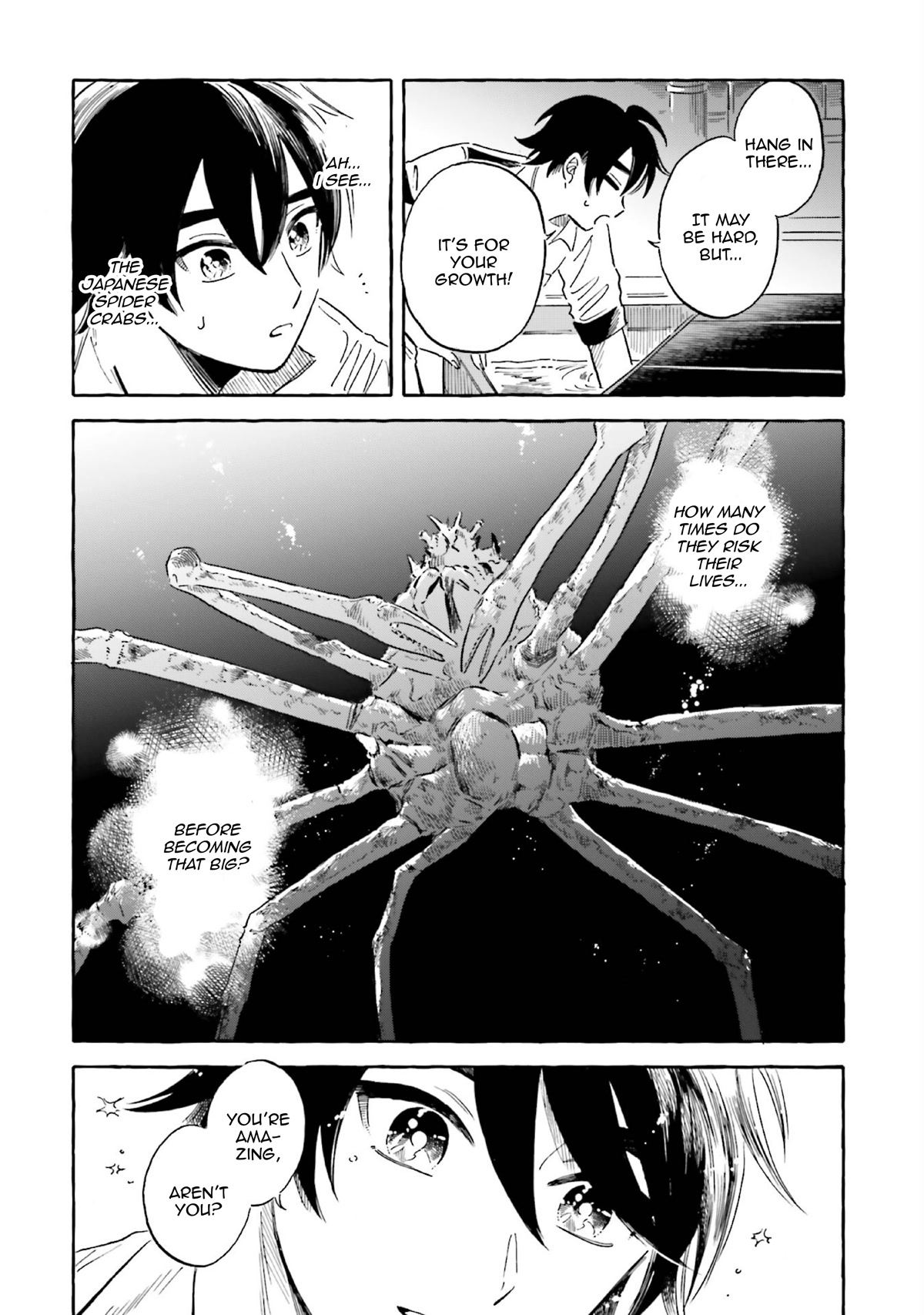 Deep Sea Aquarium Magmell Chapter 37 page 24 - Chapter 37: Japanese Spider Crab