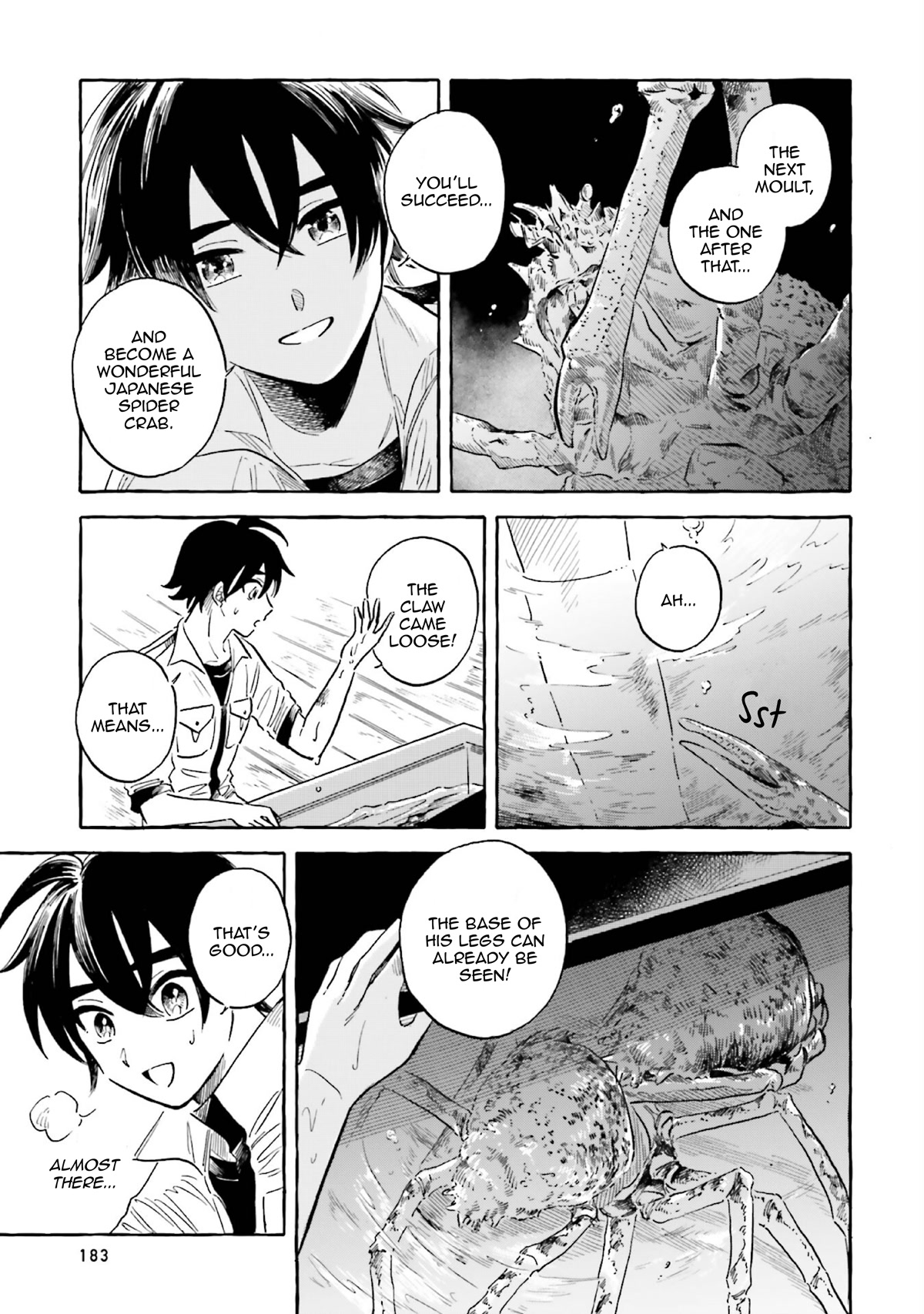 Deep Sea Aquarium Magmell Chapter 37 page 25 - Chapter 37: Japanese Spider Crab