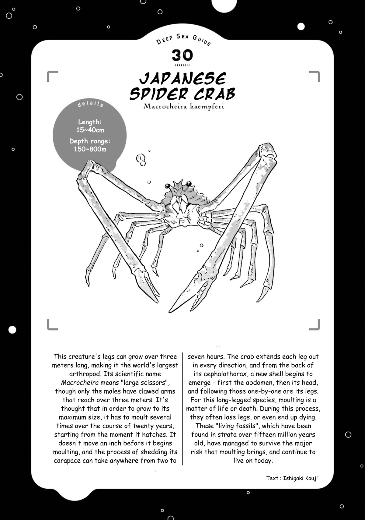 Deep Sea Aquarium Magmell Chapter 37 page 32 - Chapter 37: Japanese Spider Crab