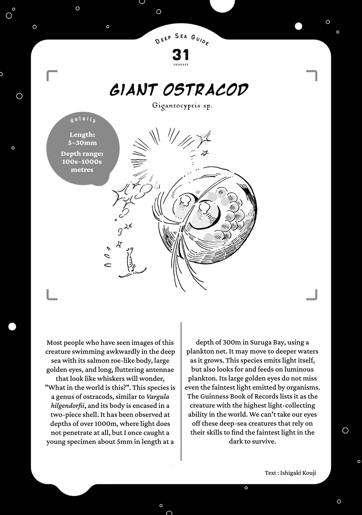 Deep Sea Aquarium Magmell Chapter 38 page 41 - Chapter 38: Giant Ostracod