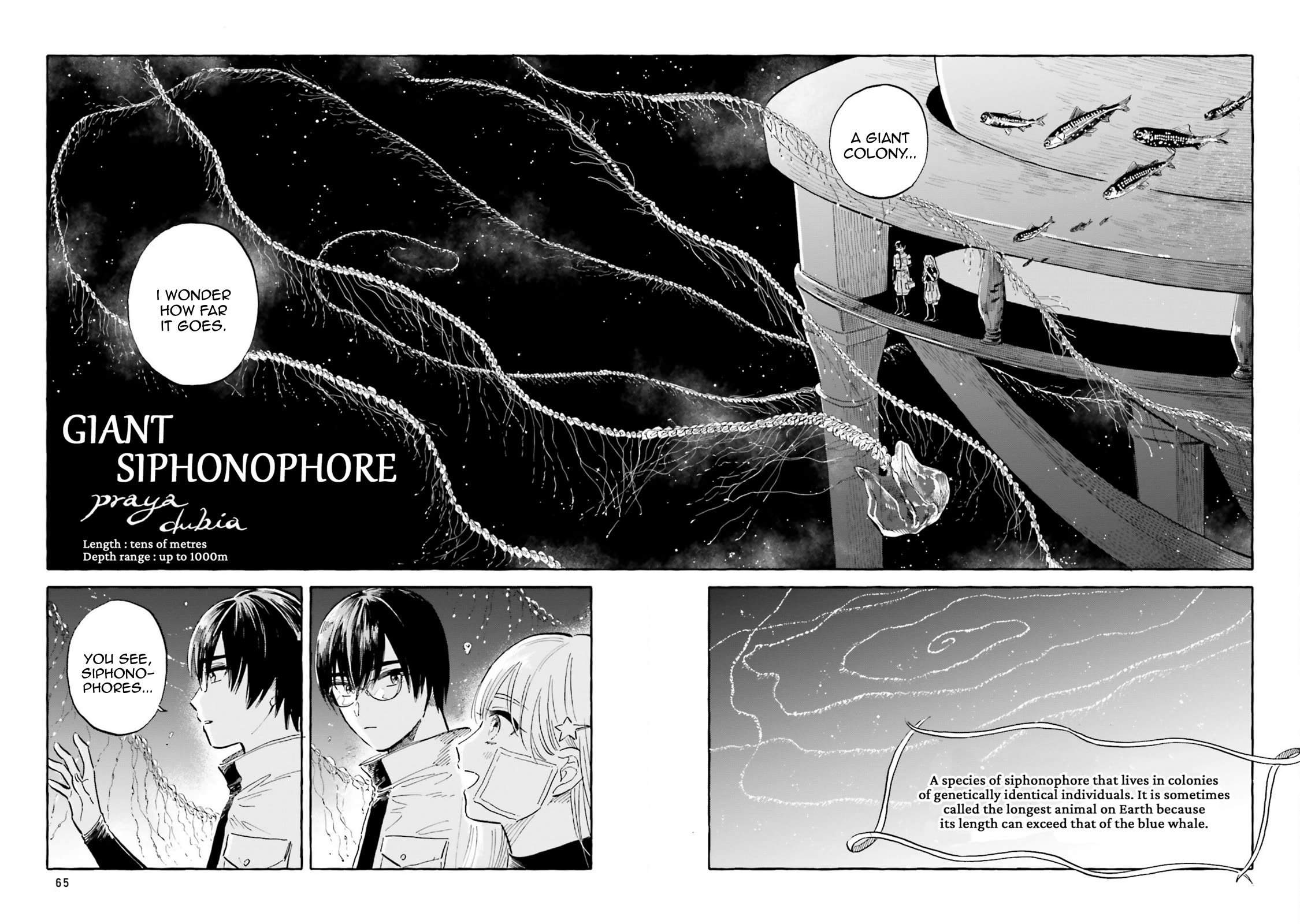Deep Sea Aquarium Magmell Chapter 39 page 20 - Chapter 39: Giant Siphonophore