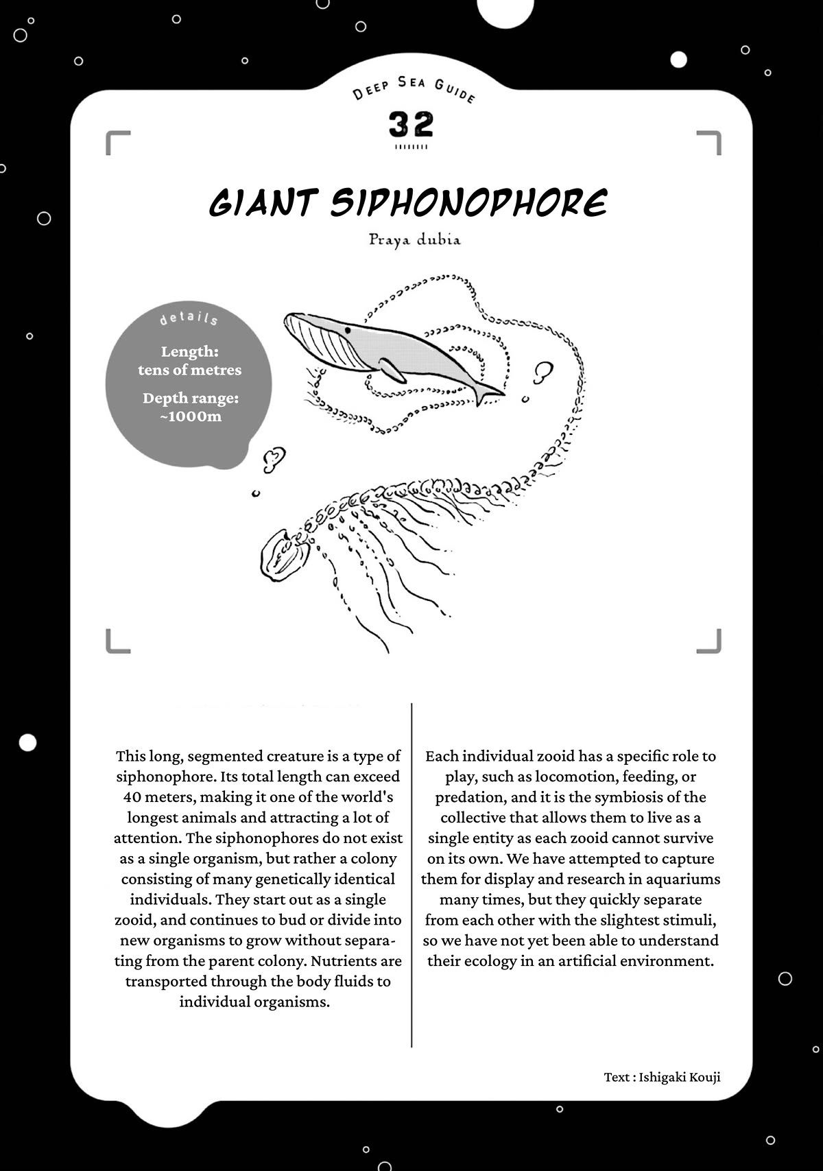 Deep Sea Aquarium Magmell Chapter 39 page 31 - Chapter 39: Giant Siphonophore