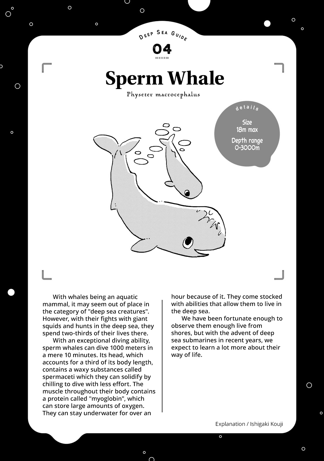 Deep Sea Aquarium Magmell Chapter 4 page 48 - Chapter 4: Sperm Whale