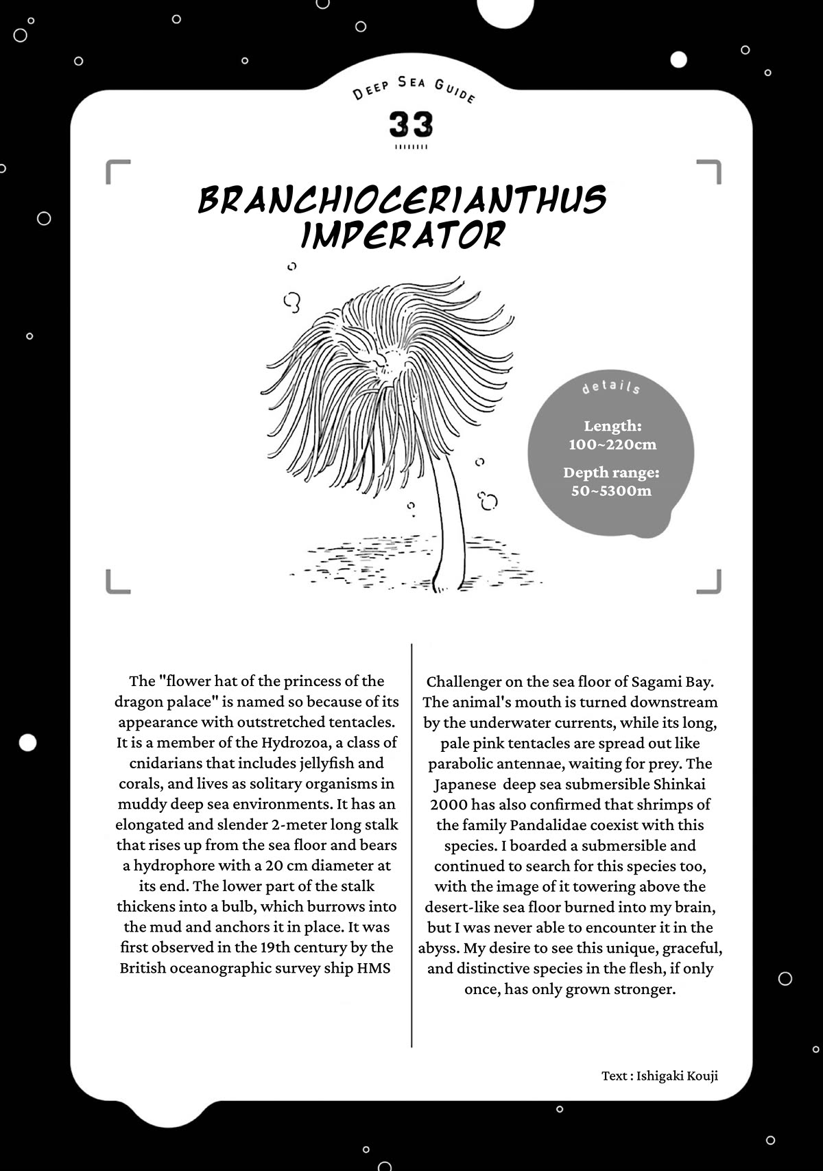 Deep Sea Aquarium Magmell Chapter 40 page 36 - Chapter 40: Branchiocerianthus Imperator
