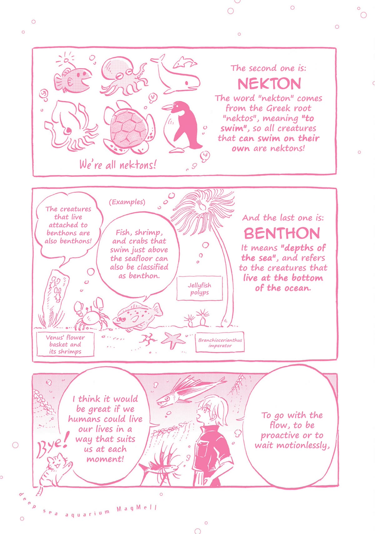 Deep Sea Aquarium Magmell Chapter 42.5 page 2 - Chapter 42.5: Vol. 8 Bonus