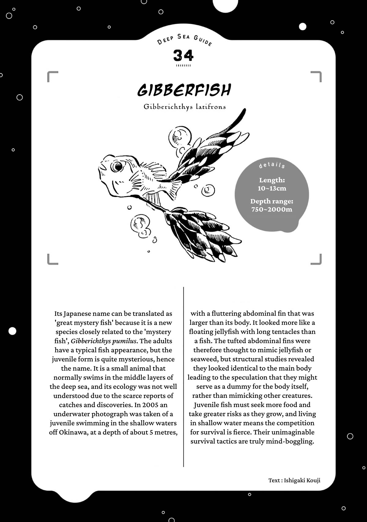 Deep Sea Aquarium Magmell Chapter 42 page 38 - Chapter 42: Gibberfish, Part 2