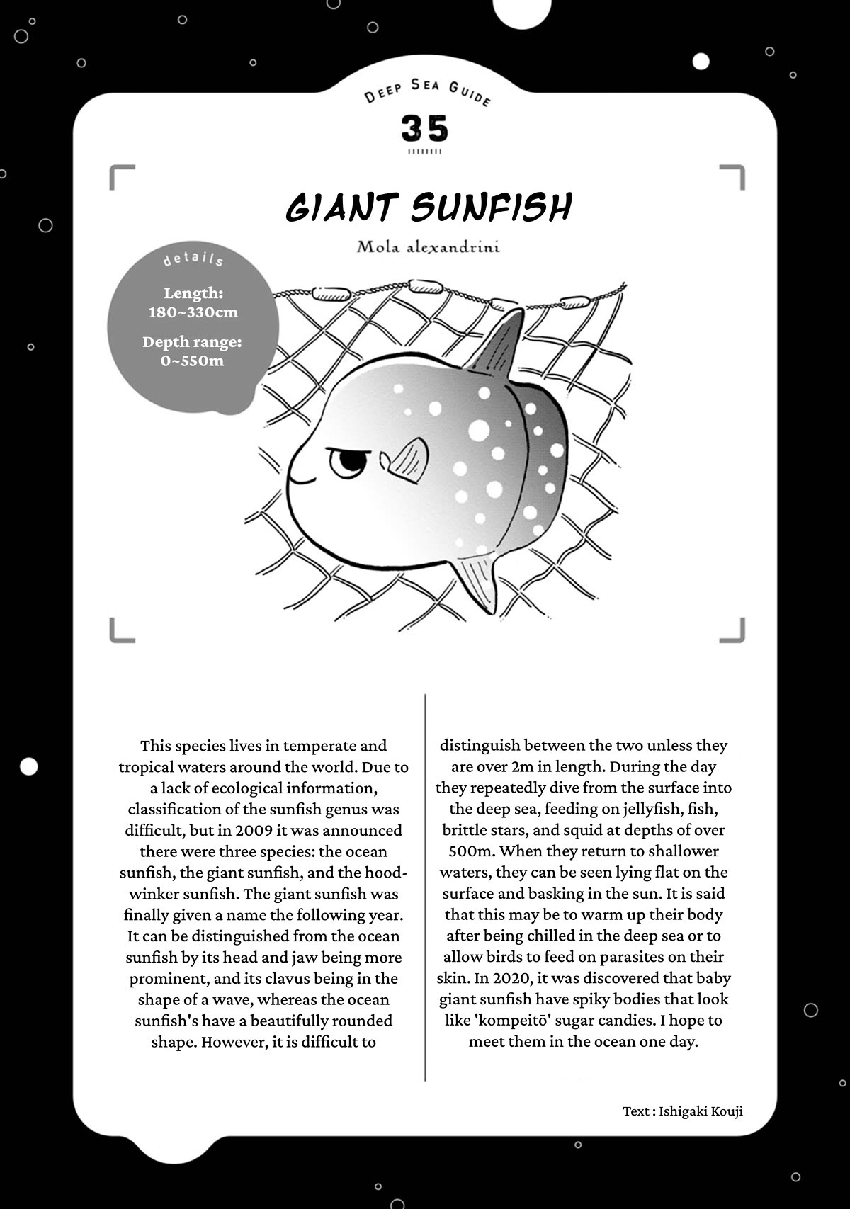 Deep Sea Aquarium Magmell Chapter 44 page 36 - Chapter 44: Giant Sunfish, Part 2