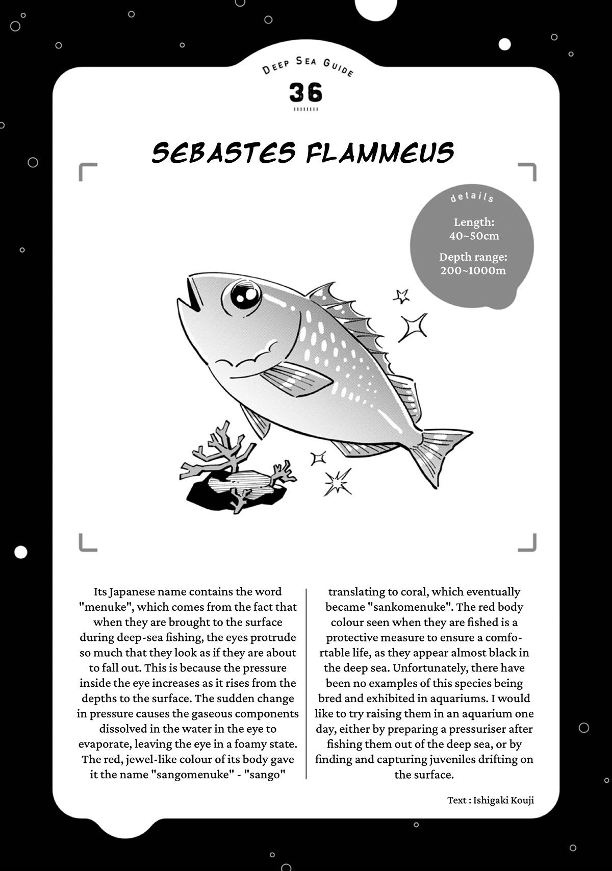 Deep Sea Aquarium Magmell Chapter 45 page 37 - Chapter 45: Sebastes Flammeus