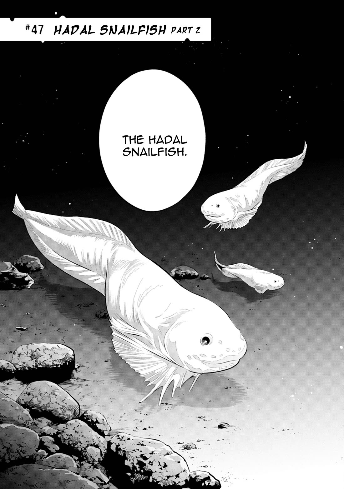 Deep Sea Aquarium Magmell Chapter 47 page 3 - Chapter 47: Hadal Snailfish, Part 2