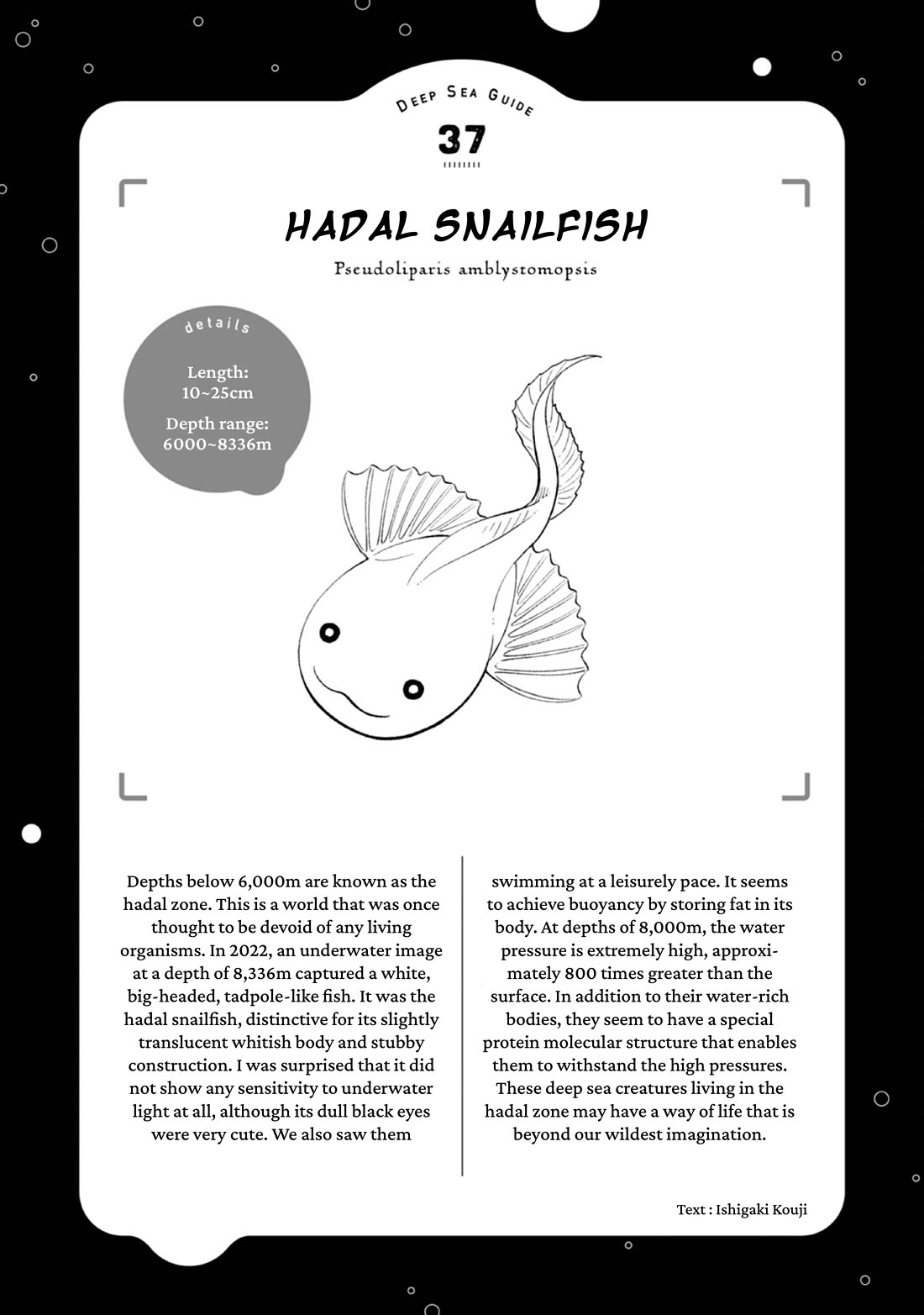 Deep Sea Aquarium Magmell Chapter 47 page 37 - Chapter 47: Hadal Snailfish, Part 2