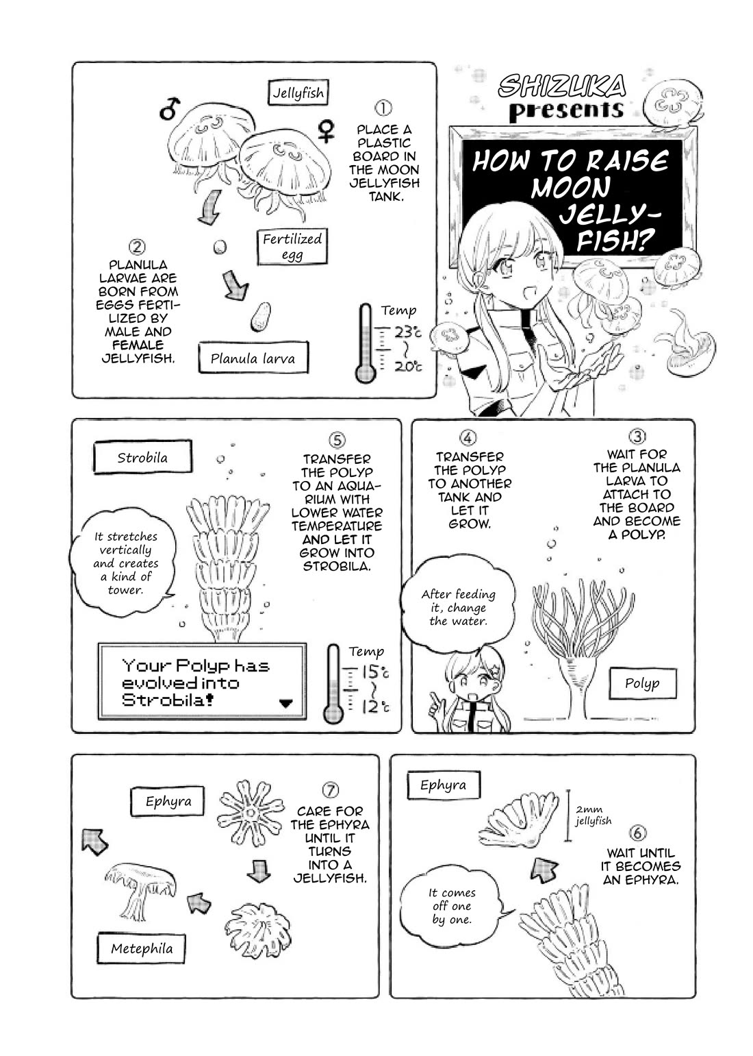 Deep Sea Aquarium Magmell Chapter 48 page 21 - Chapter 48: Bluefin Driftfish, Part 1