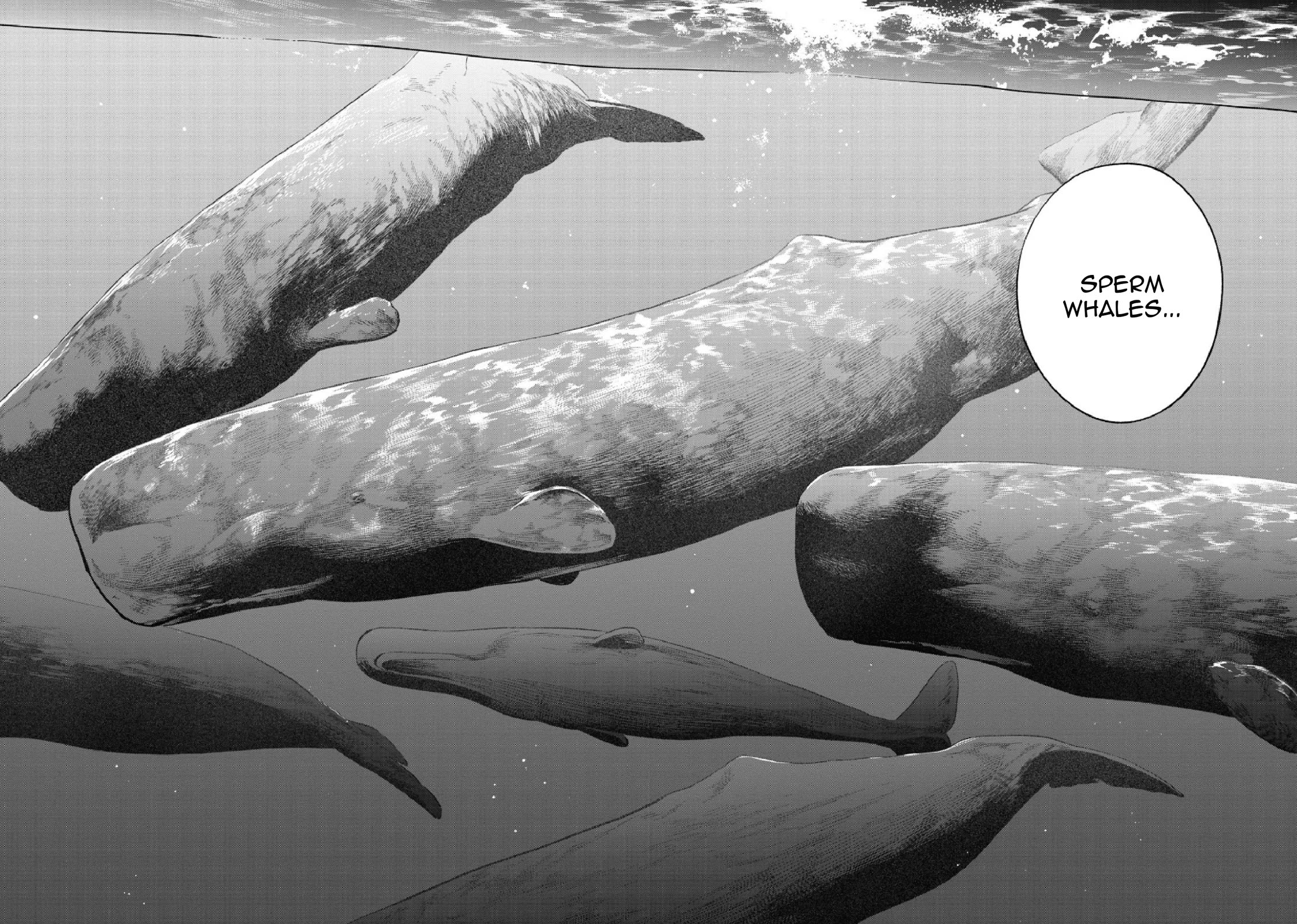 Deep Sea Aquarium Magmell Chapter 51 page 14 - Chapter 51: Adipicola Pacifica, Part 1