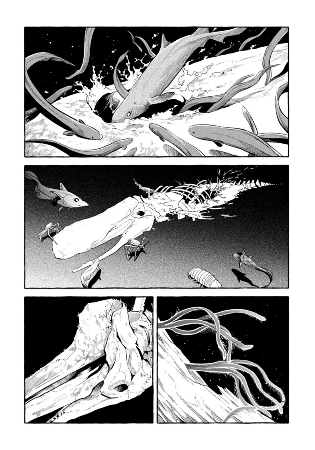 Deep Sea Aquarium Magmell Chapter 52 page 24 - Chapter 52: Adipicola Pacifica, Part 2
