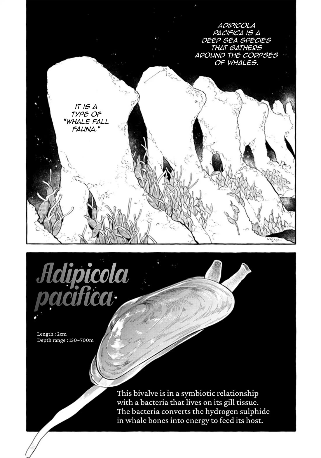 Deep Sea Aquarium Magmell Chapter 52 page 37 - Chapter 52: Adipicola Pacifica, Part 2