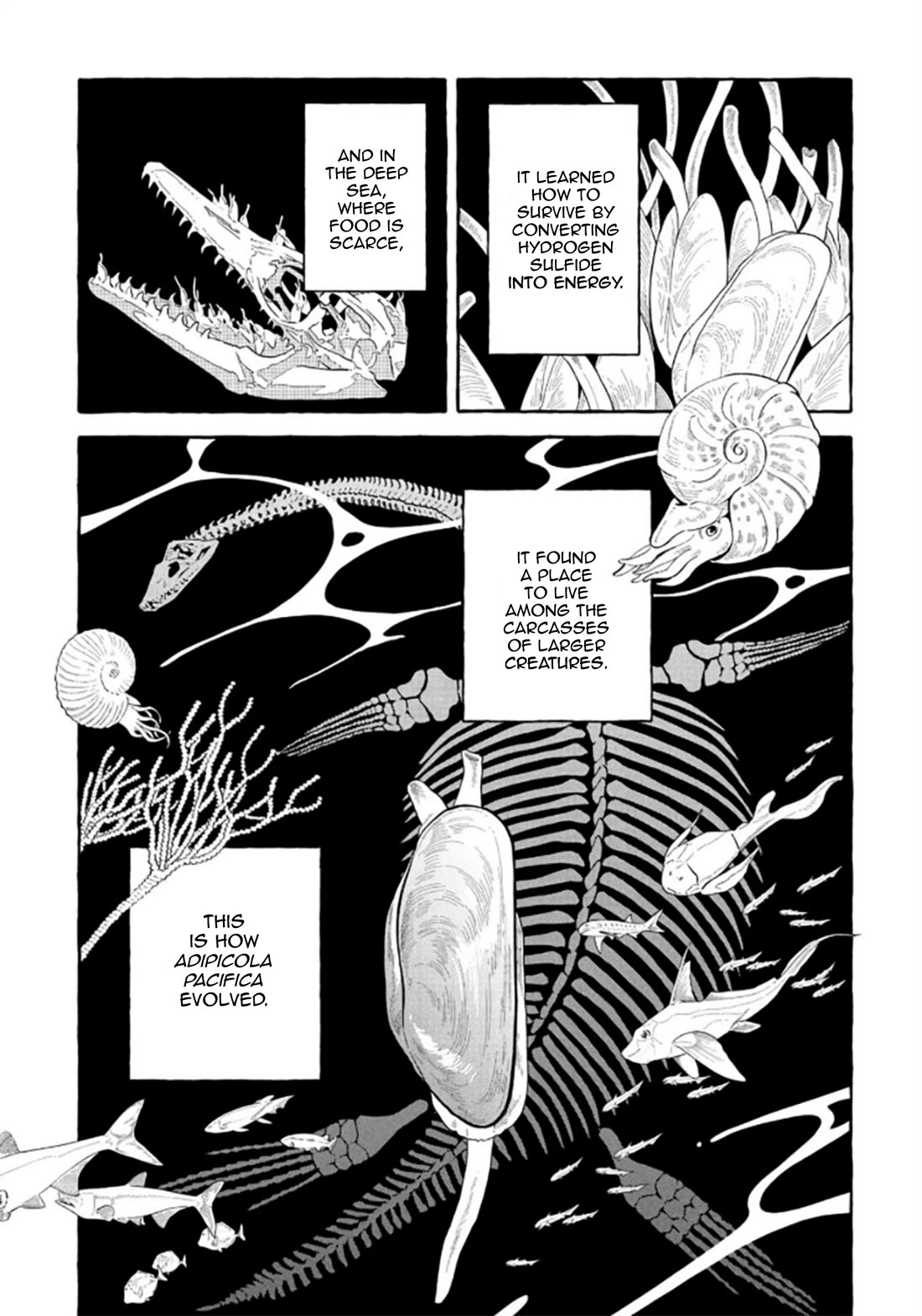 Deep Sea Aquarium Magmell Chapter 53 page 30 - Chapter 53: Adipicola Pacifica, Part 3