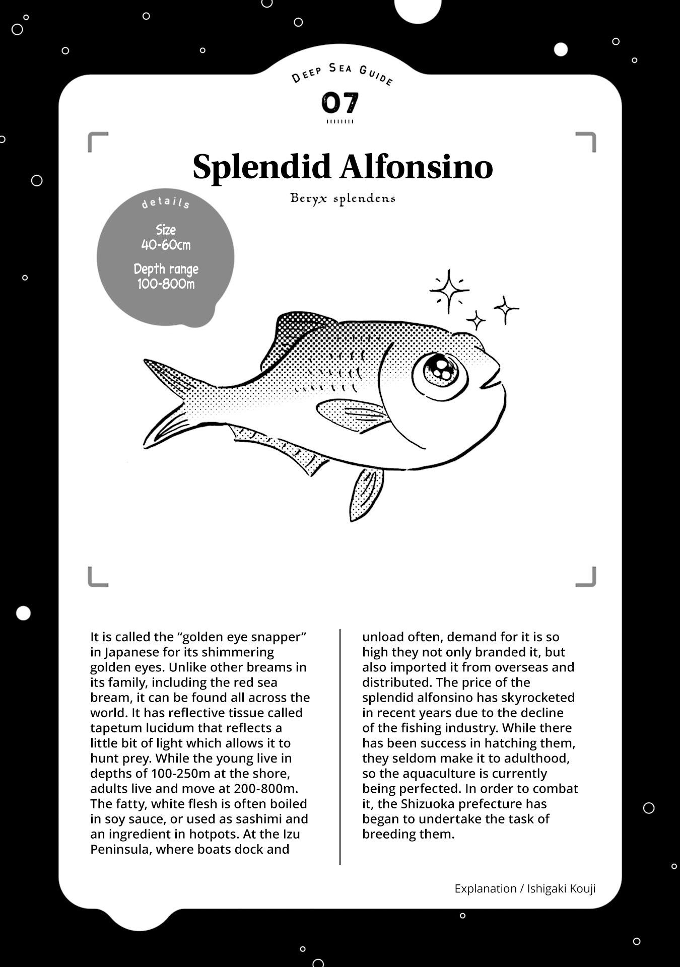 Deep Sea Aquarium Magmell Chapter 7 page 38 - Chapter 7: Splendid Alfonsino