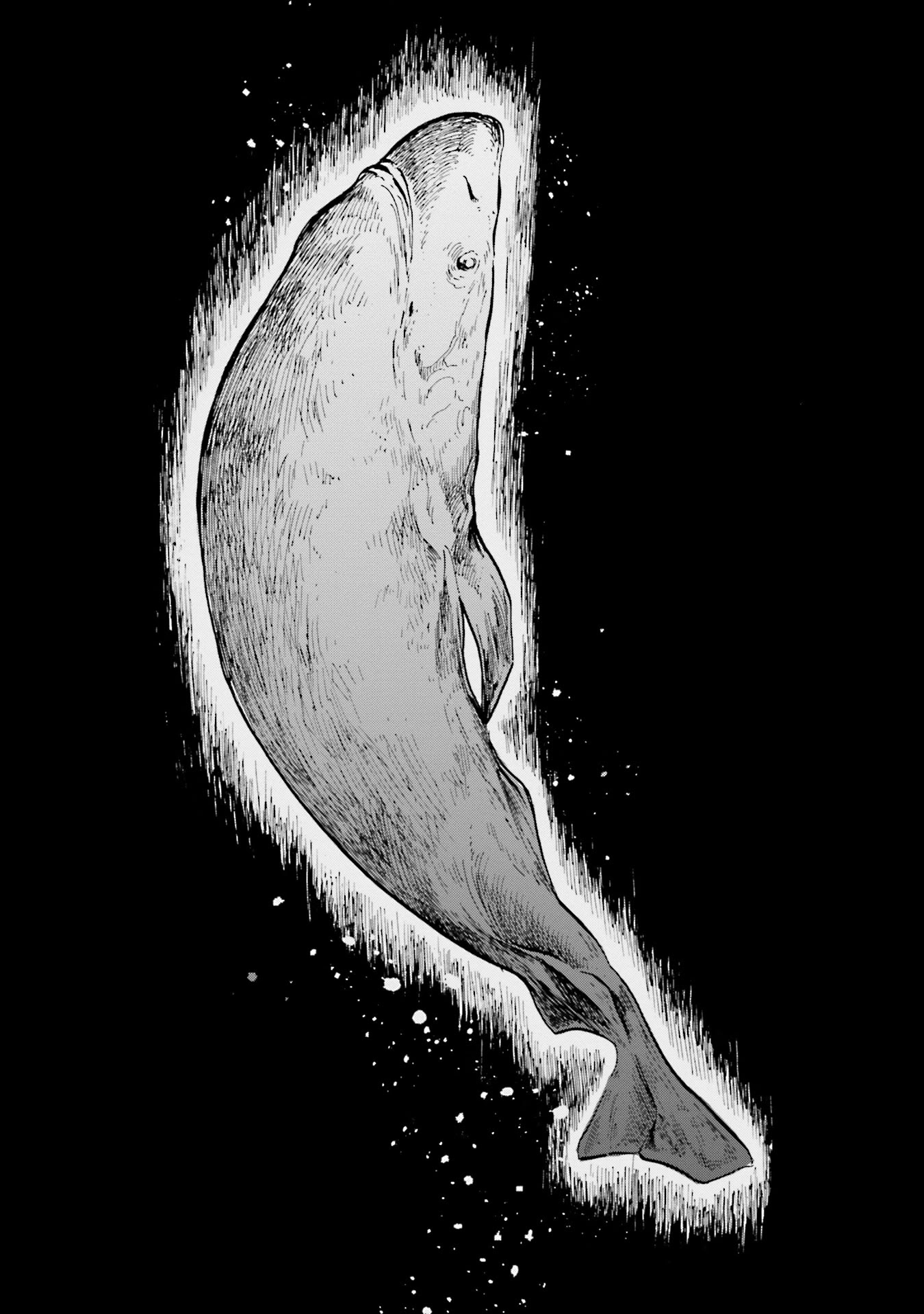 Deep Sea Aquarium Magmell Chapter 8 page 16 - Chapter 8: Pacific Sleeper Shark, Part 1