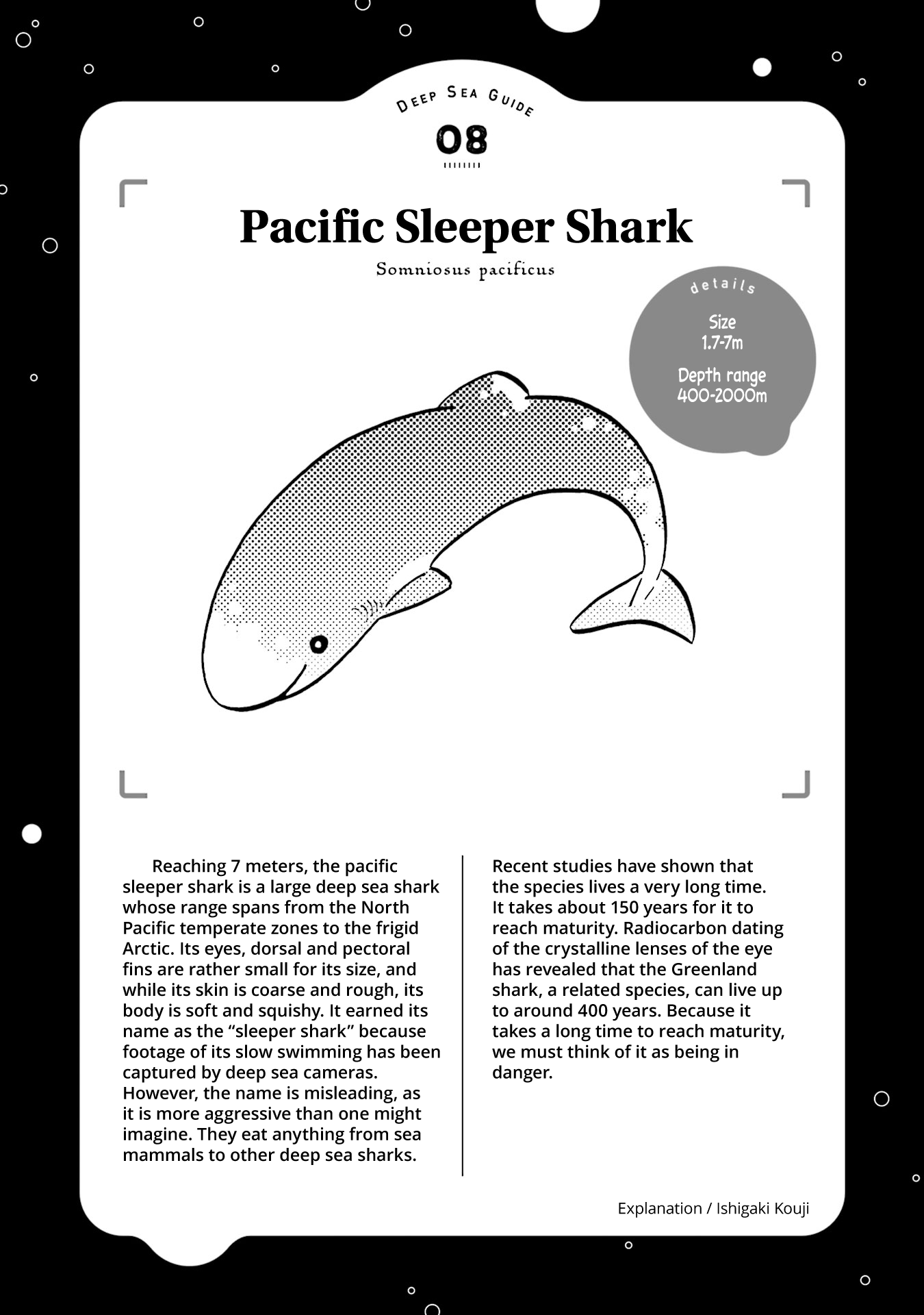 Deep Sea Aquarium Magmell Chapter 9 page 38 - Chapter 9: Pacific Sleeper Shark, Part 2